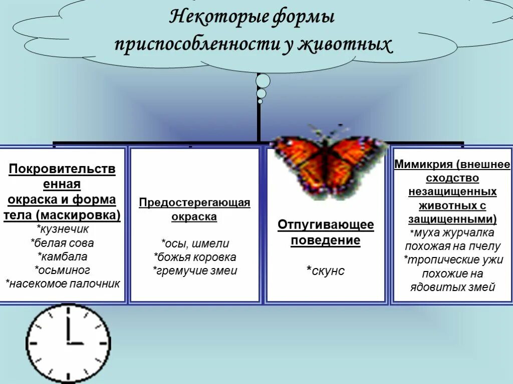 Черты приспособленности божьей коровки. Некоторые формы приспособленности у животных. Формы приспособленности организмов. Форма тела приспособленность. Некоторые формы приспособленности у животных примеры.