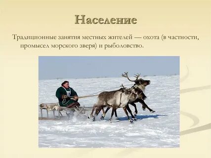 Оленеводство рыболовство и промысел морского зверя