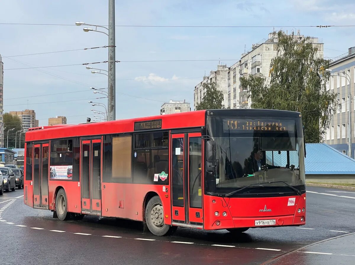 Автобусы казань петербург. МАЗ 203. МАЗ 203.069. МАЗ-203 автобус. МАЗ 203 новый.