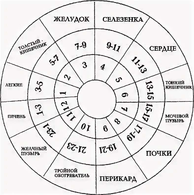Суточные биоритмы человека по часам схема. Меридианы человека по часам активности схема. Суточные биоритмы внутренних органов. Суточные циклы активности органов.