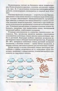 Биология 9 класс параграф 9 читать