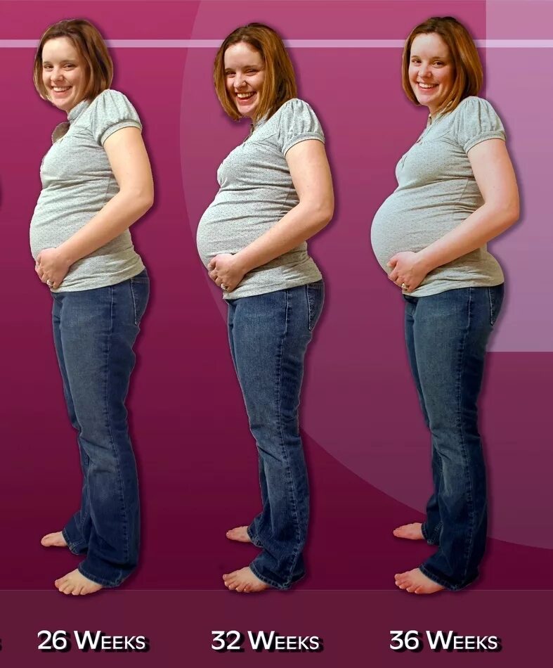 Рост живота. Живот беременной по неделям. 5 месяца беременности. На каком месяце появляются. На каком месяце появляются.