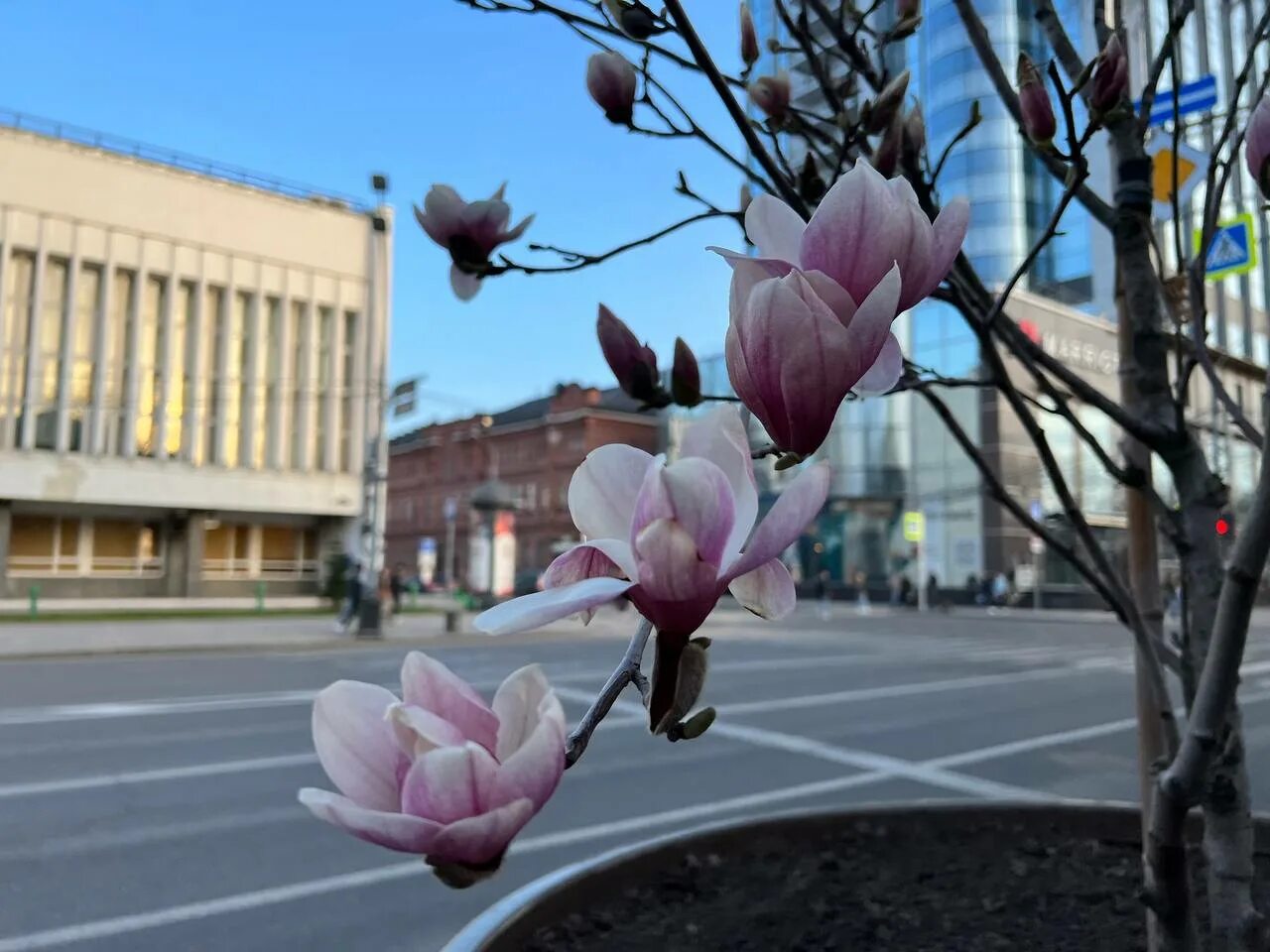 Краснодар в марте фото. Краснодар в марте. Апрель в самаре. Какой будет март в краснодаре. Краснодар в марте.