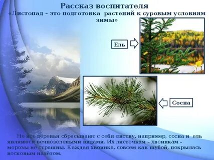 Как растения готовятся к зиме презентация