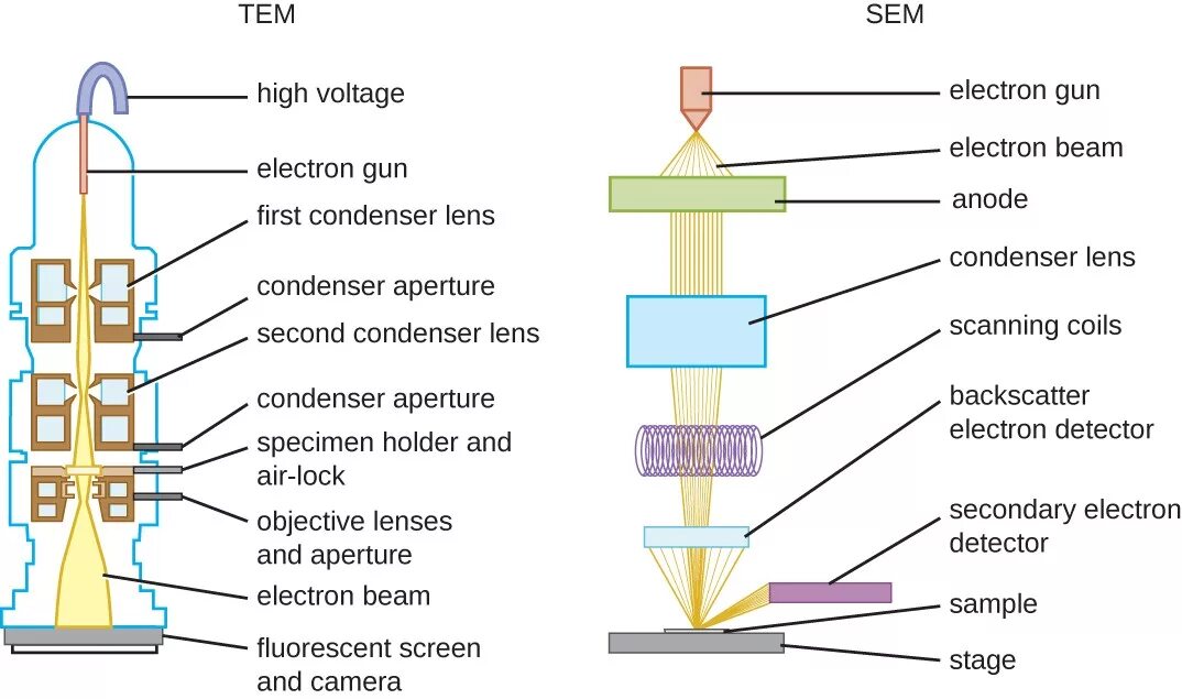 Режим дифракции электронного микроскопа. Transmission electron microscope. Scanning electron microscopy. Transmission microscopy. Transmission microscopy.
