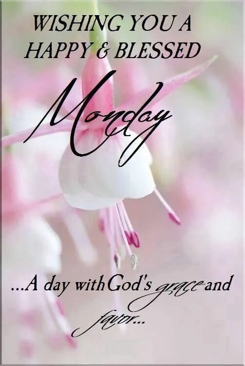 I wish you to find. I wish you a happy day. have a good and blessed day картинки. ш wish you. wishing you.