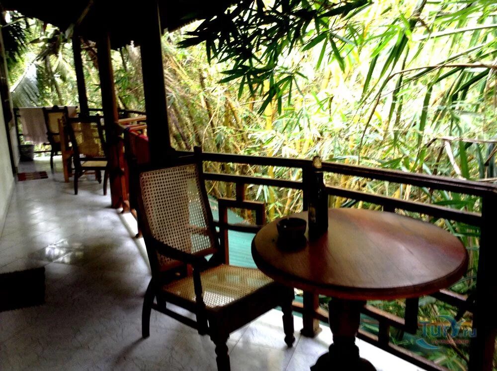 Примроуз гест хаус шри ланка унаватуна. Primrose guest house шри ланка унаватуна. Primrose guest house шри ланка. Prim rose guest house 2 ** (унаватуна). Primrose guest house шри ланка унаватуна.