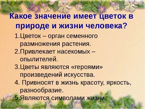 Какое значение для растения. Значение цветка в жизни растения. Какое значение имеет цветок для растения. Какое значение в жизни растений имеет цветок. Значение цветов в жизни растений.