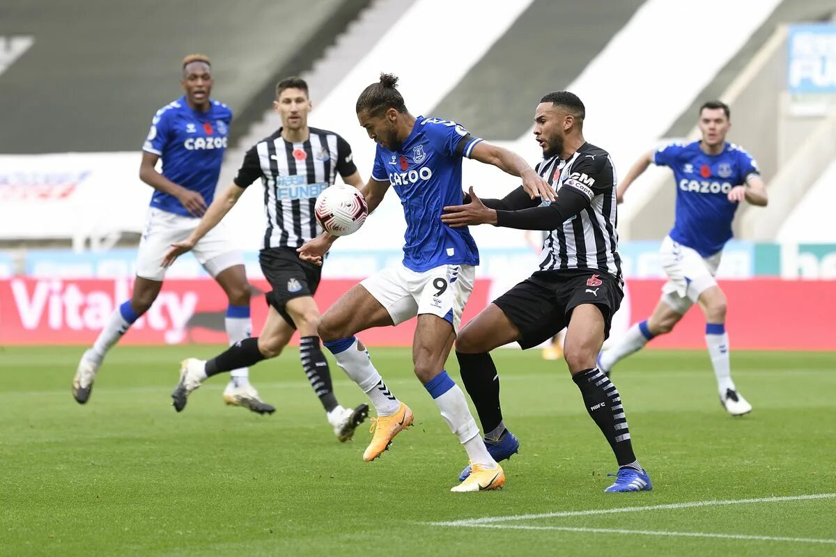 Прогноз на матч ньюкасл саутгемптон. Ньюкасл эвертон. футбол newcastle vs everton. чемпионат англии – ньюкасл юнайтед. саутгемптон ньюкасл 0 1.