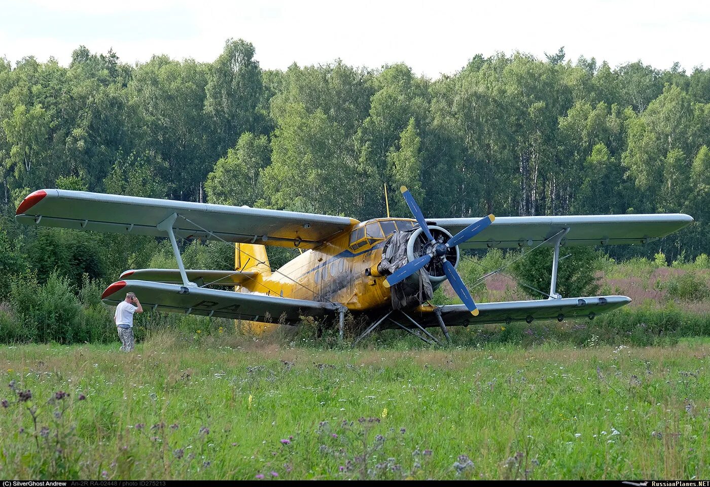 Советский район самолет. АН 2. АН-2 биплан фото. Джанкой АН 2. Кукурузник Славгород.