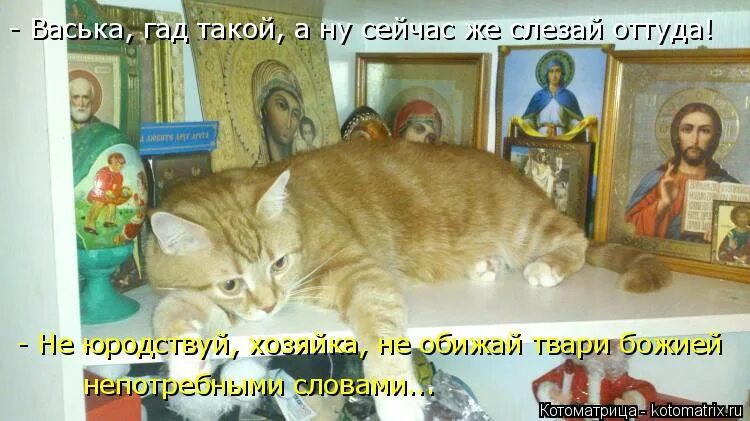 Ну сейчас не день. Ладно мем с машиной. Мем щас проверим. Щас отдохну. Рабочий день закончен мем.