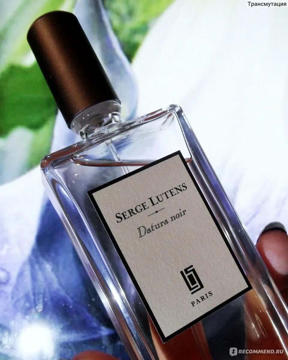 Datura noir. Serge lutens datura noir. черный дурман серж лютенс. серж лютен черный дурман. датура нуар.