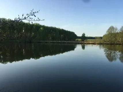 Дмитровские озера