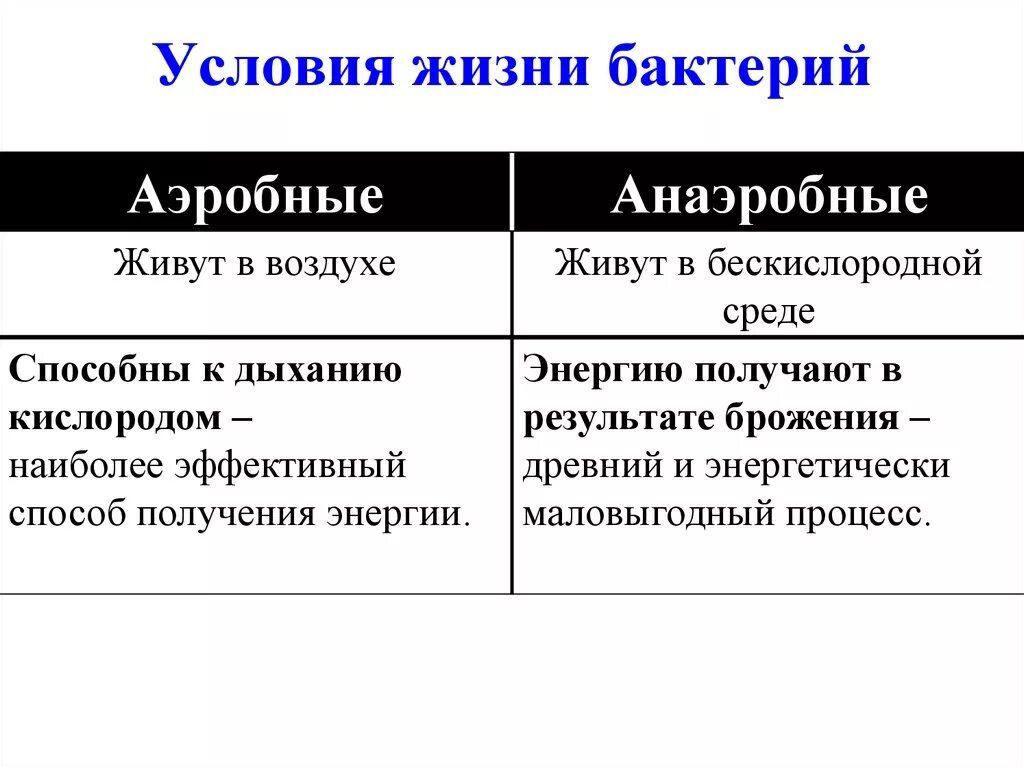 В бескислородных условиях живет. Условия жизни бактерий. Условия жизни микроорганизмов. Условия для жизни анаэробных бактерий. Условия необходимые для жизни анаэробных бактерий.