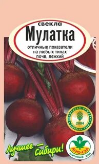 Свекла мулатка описание