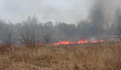 Пожароопасный период в 2024 году