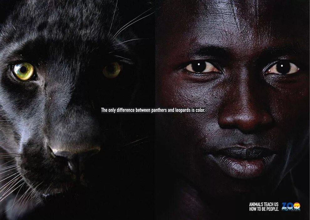 Only difference. Пантера в сравнении с человеком. Пантера в рекламе. Реклама с пантерой черной. Человек пантера.