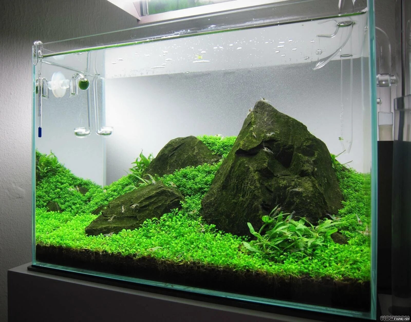 Mkk akvarius что