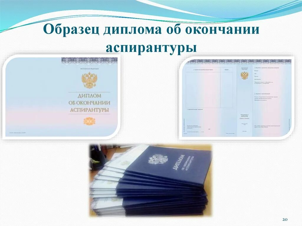 Кем становятся после аспирантуры