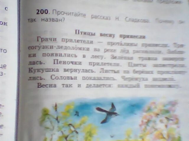 Выпиши из текста предложение которое соответствует рисунку. Выпиши из текста предложение которое соответствует рисунку