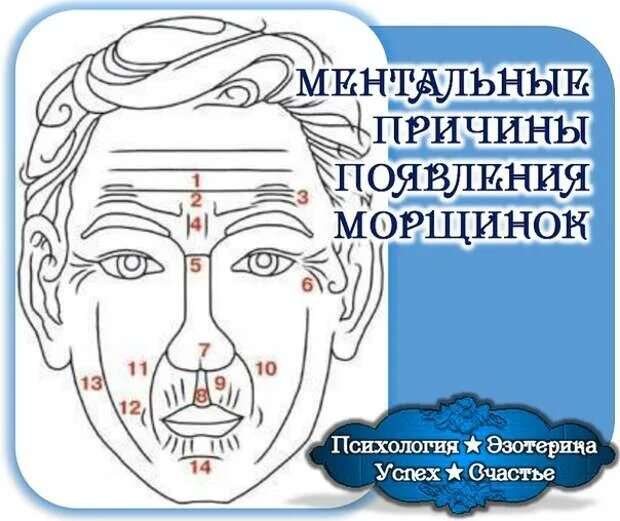 Ментальный фактор. Ментальные причины появления морщин. Ментальные причины. Ментальные причины появления морщин на лице. Ментальная область лица схематично.