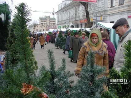 Назад в декабре