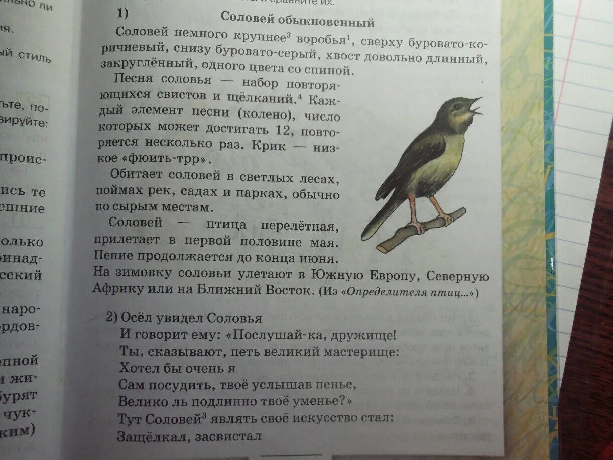 Обыкновенный Соловей изложение 6 класс. План к тексту Соловей обыкновенный Соловей немного крупнее воробья,. План изложения обыкновенная земля. Тут Соловей являть свое искусство 4 класс. Основная мысль текста соловей