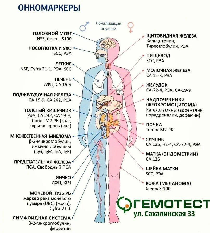 Онкомаркеры по локализации опухоли. Онкомаркеры 180. Анализ крови на онкомаркеры. Показатели онкомаркеров норма у мужчин. Гемотест анализы на онкомаркеры
