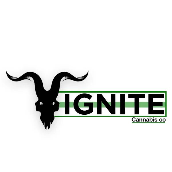 Игнайт электронные сигареты. Дэн билзерян игнайт. ignite дэн билзерян. логотип дэн билзерян. ignite логотип.