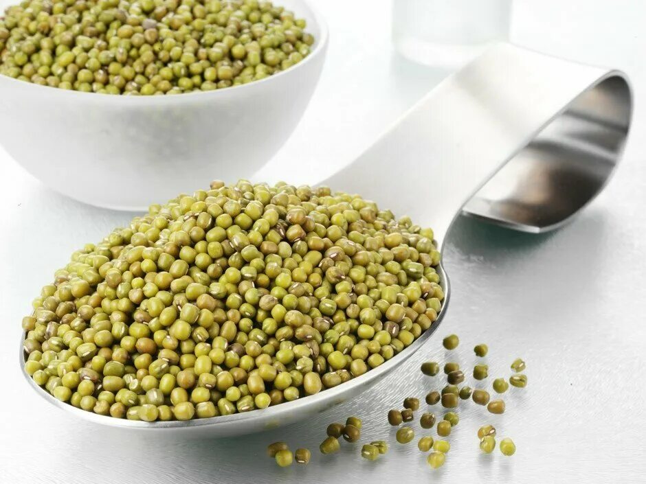 маш полезность. крупа мунг. бобы мунг(маш) проростки. маш полезность. маш полезность.