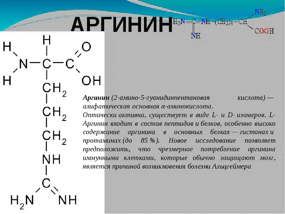 Аргинин какая аминокислота