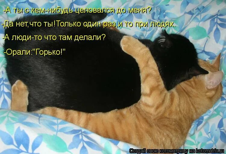 Приходи меня целовать. Я хочу тебя поцеловать. Поцеловать. Так хочется тебя поцеловать. Вот так хочу тебя поцеловать.