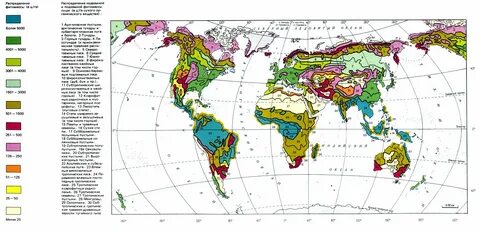 Самые большие запасы фитомассы земного шара сосредоточены