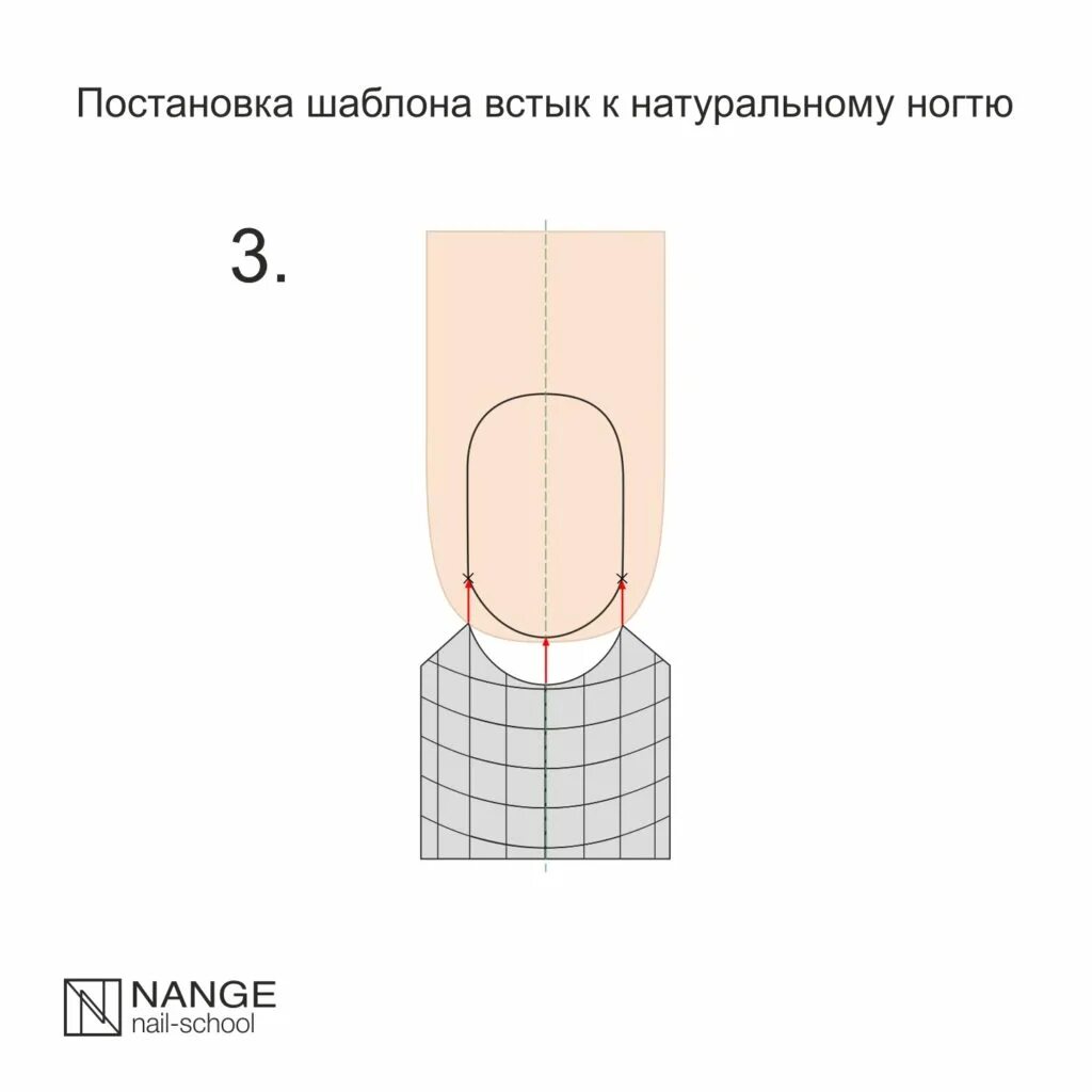 Поставить формы под. Шаблоны для моделирования ногтей. моделирование ногтей правильная постановка шаблона. постановка шаблона для наращивания. постановка формы для наращивания.
