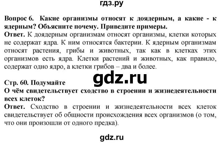 Биология стр 133 ответы на вопросы. Промежуточная аттестация по биологии 5 класс Введение Пасечник. Пасечник Введение в биологию линейный курс 5 класс. УМК Пасечник 5 класс линейный курс. Линейный курс биологии Пасечник.