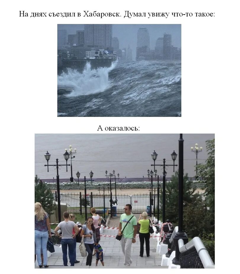 Шкура прикол. Лето хабаровск прикол. Пятница мемы смешные. Афоризмы про учителей. Думал увижу.