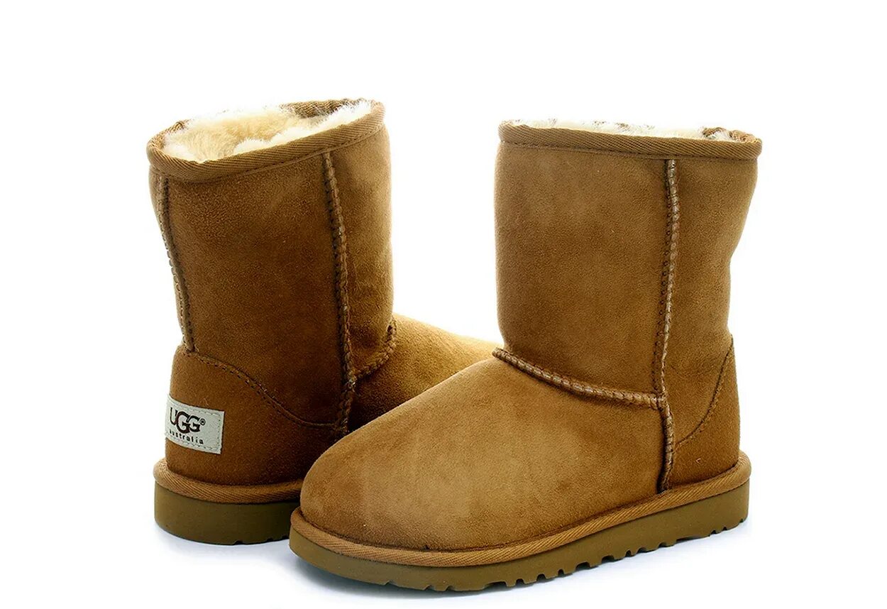 Угги песня. Ugg classic zip mini boot. сапоги зимние ugg bellvue lll sn1001926. ugg zip mini chestnut. угги ugg classic mini platform grey.