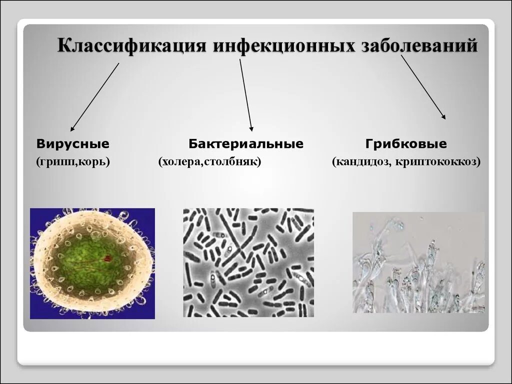 Классификация возбудителей инфекционных заболеваний. Классификация инфекционных болезней схема. Возбудители инфекционных заболеваний схема. Классификация основных инфекционных болезней человека.