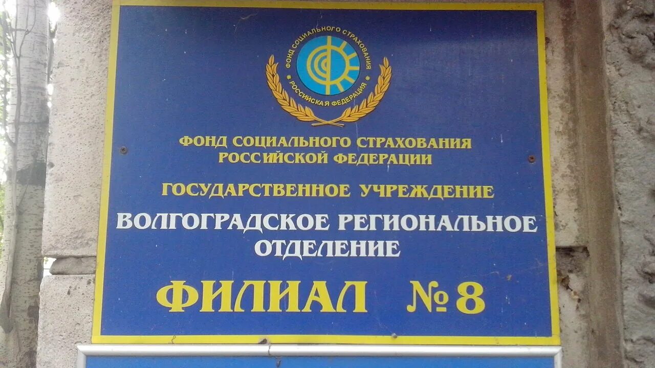 11 филиал фонда социального страхования. ФСС Волгоградской области. Социальный фонд. Фонд социального страхования РФ Москва. Отделения фонда социального страхования.