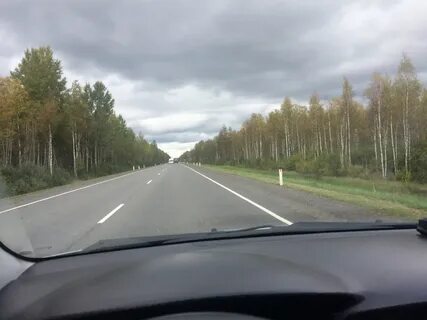Петербург сегежа