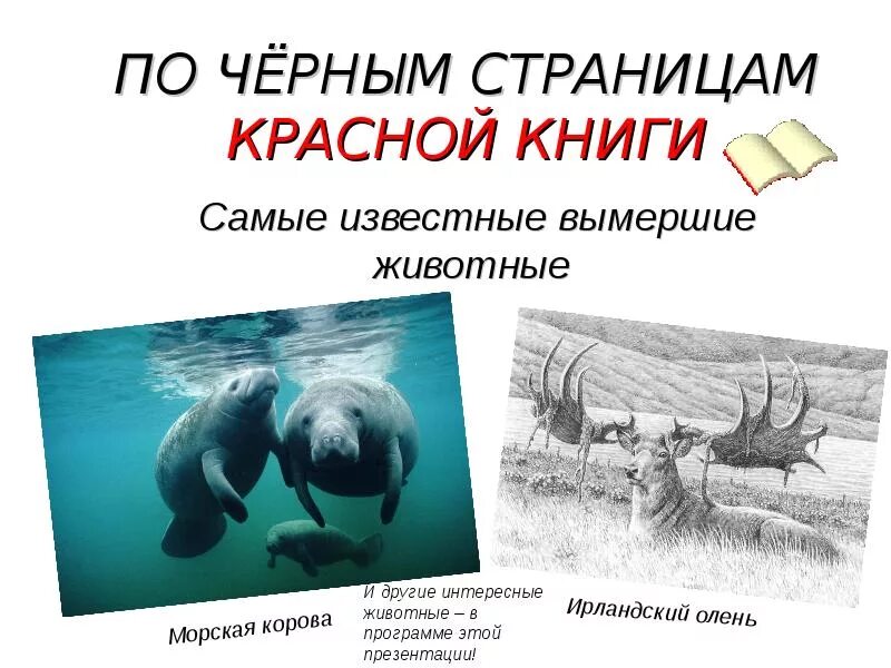 Черные страницы красной книги животные. Черные страницы красной книги животные