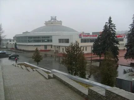 Курский цирк