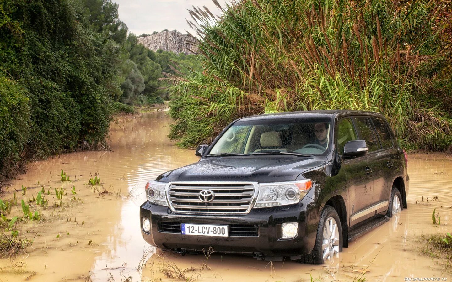 Ли 200 автомобиль. Toyota Land Cruiser v8. Тойота ленд Крузер 200. Toyota Land Cruiser 2012. Тойота ленд Крузер 200 2012.