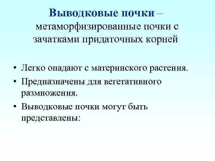 Как называется размножение почками. Как называется размножение почками