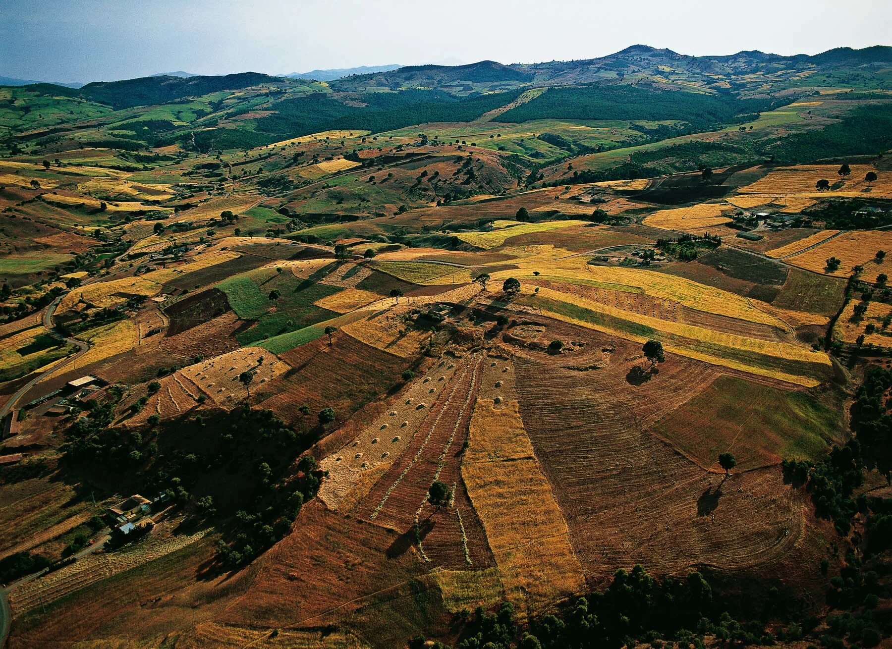 природа евразии. алжир сельское хозяйство. почвы юар. пустыни калахари в африке. почва жестколистных вечнозеленых лесов.