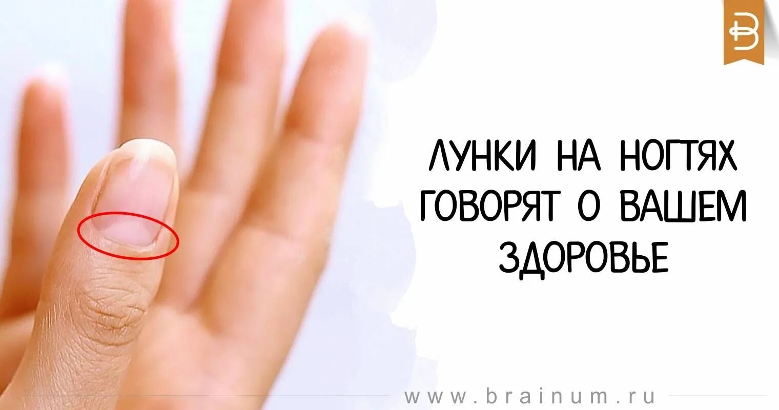 Что ваши ногти могут сказать о вашем здоровье? - Полезные советы красоты