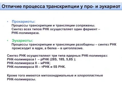 Укажите характеристики процесса транскрипции