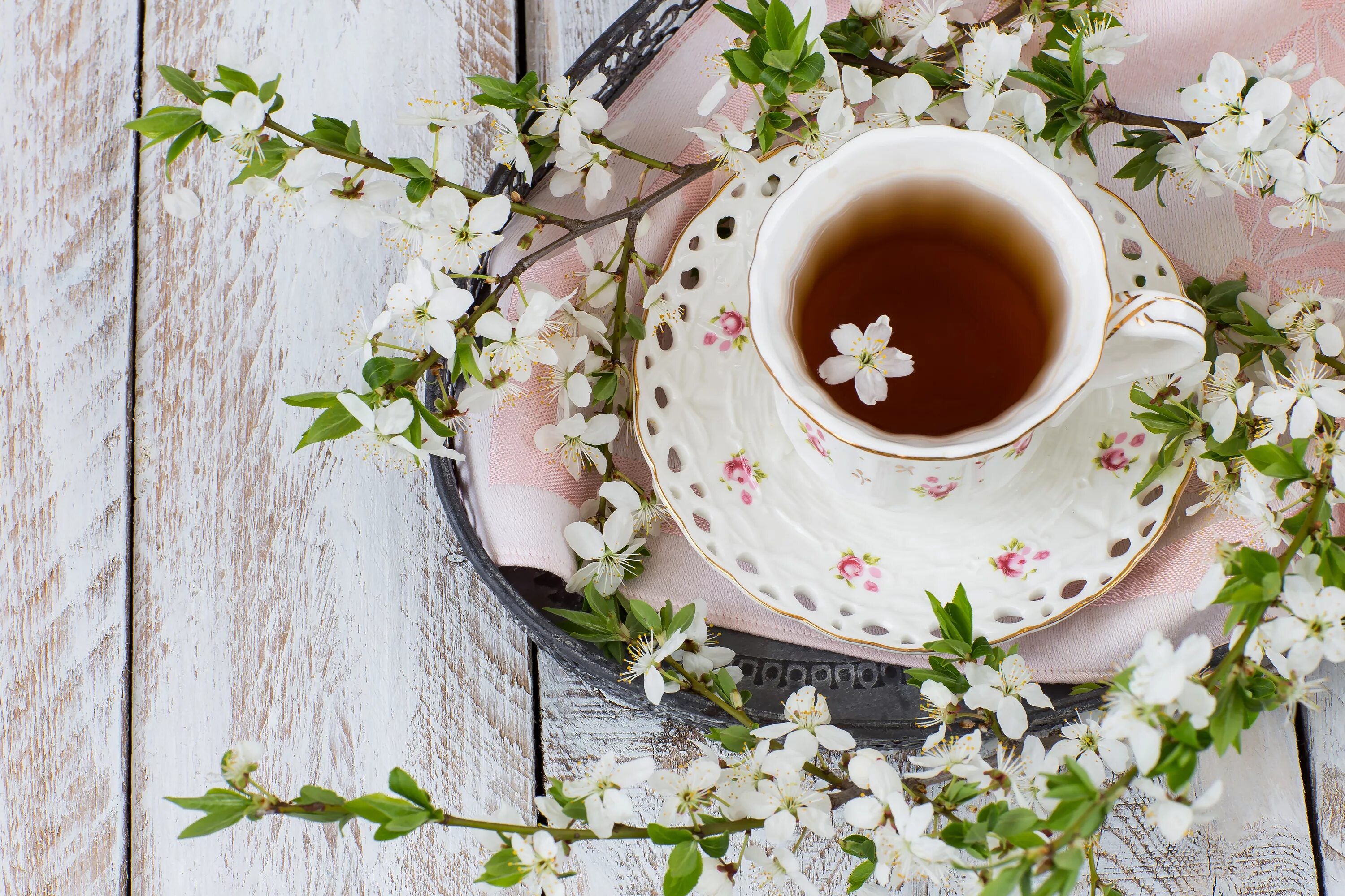 Весенний чай картинки. Кофе и цветы. Цветы в чашке. Чай с цветами. Чай цветок.