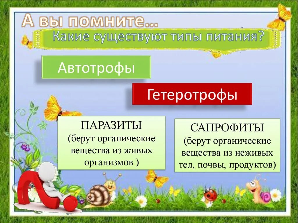 Вспомните какие бывают