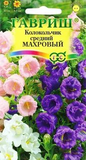 Семена колокольчика